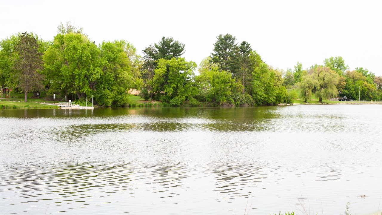 Photo of Outdoor in Mondovi