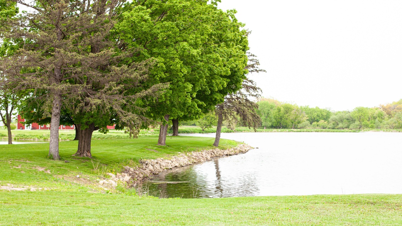 Photo of Outdoor in Mondovi