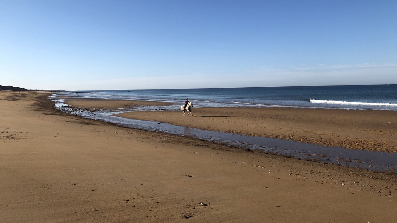 Photo of Others in LʼIle-dʼOlonne