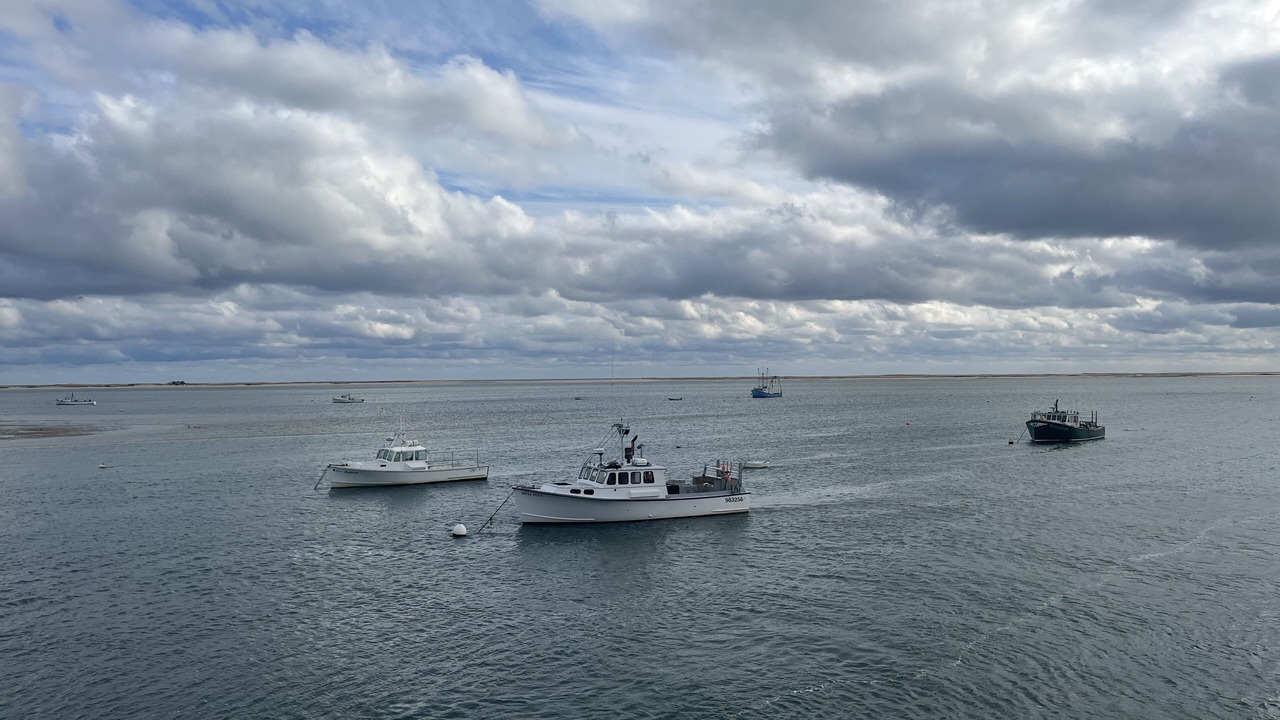 Photo of Others in North Chatham