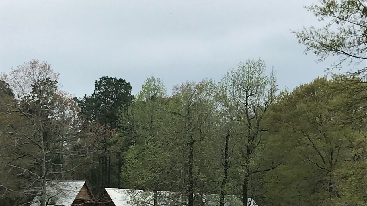 Photo of Outdoor in Georgia Coast