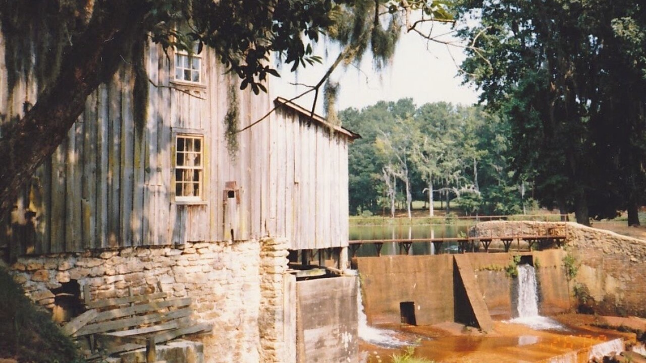 Photo of Others in Georgia Coast