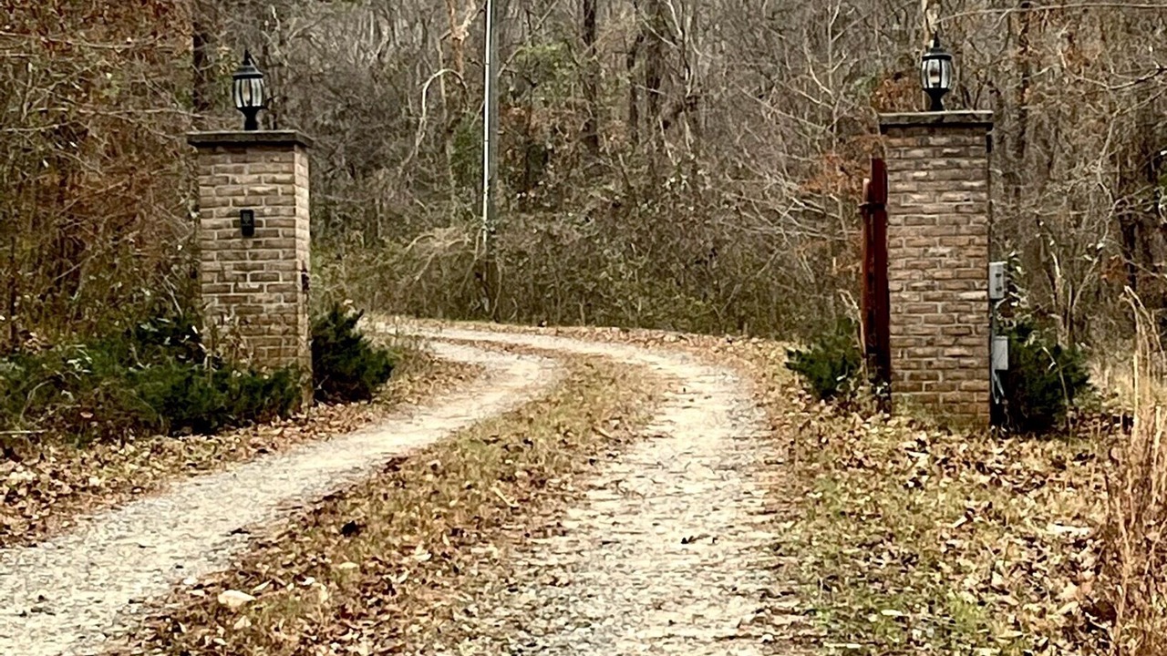 Photo of Outdoor in Georgia Coast