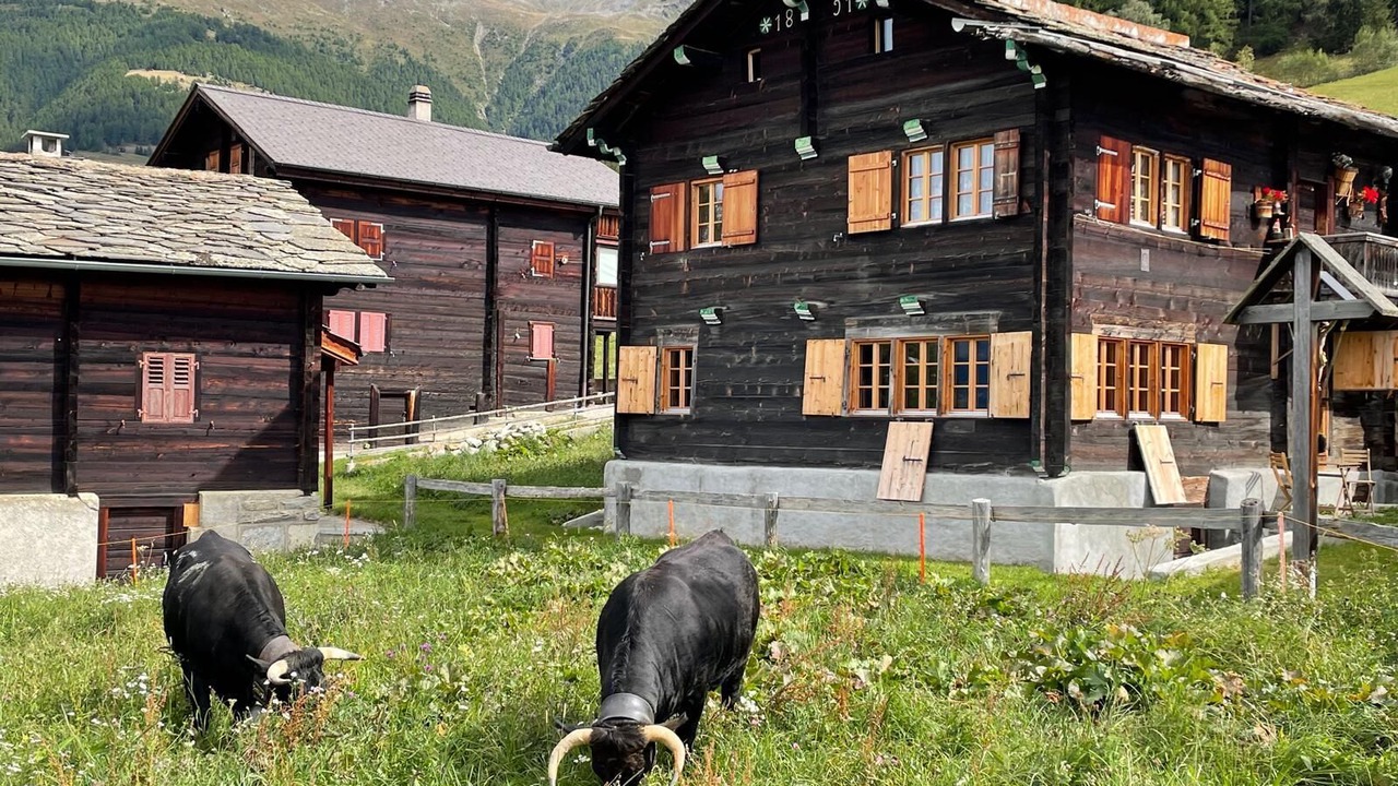 Photo of Outdoor in Stalden