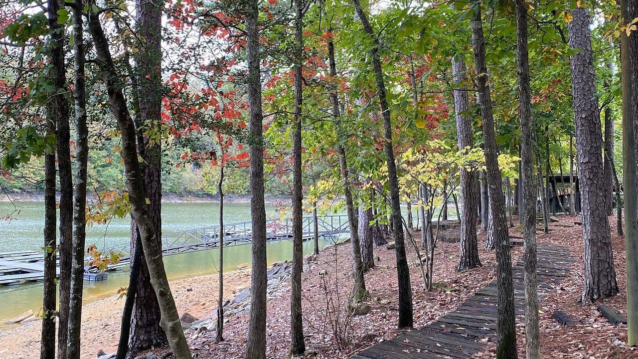Photo of Others in Crane Hill