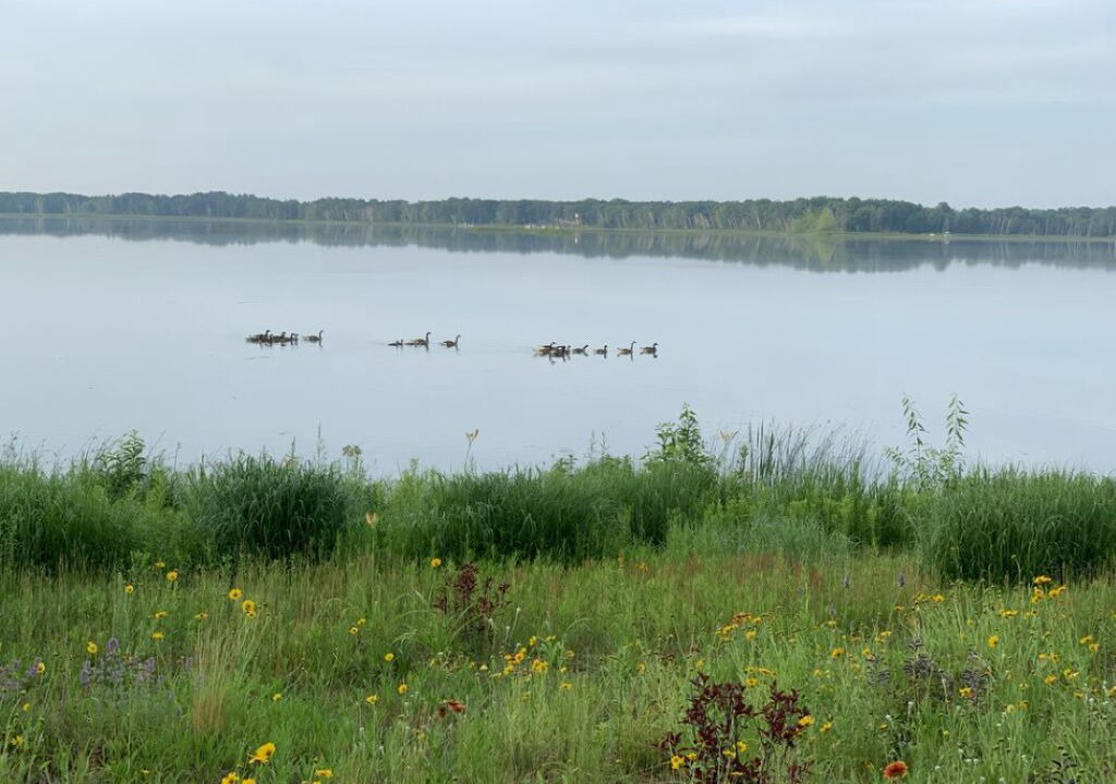 Photo of Others in Brainerd