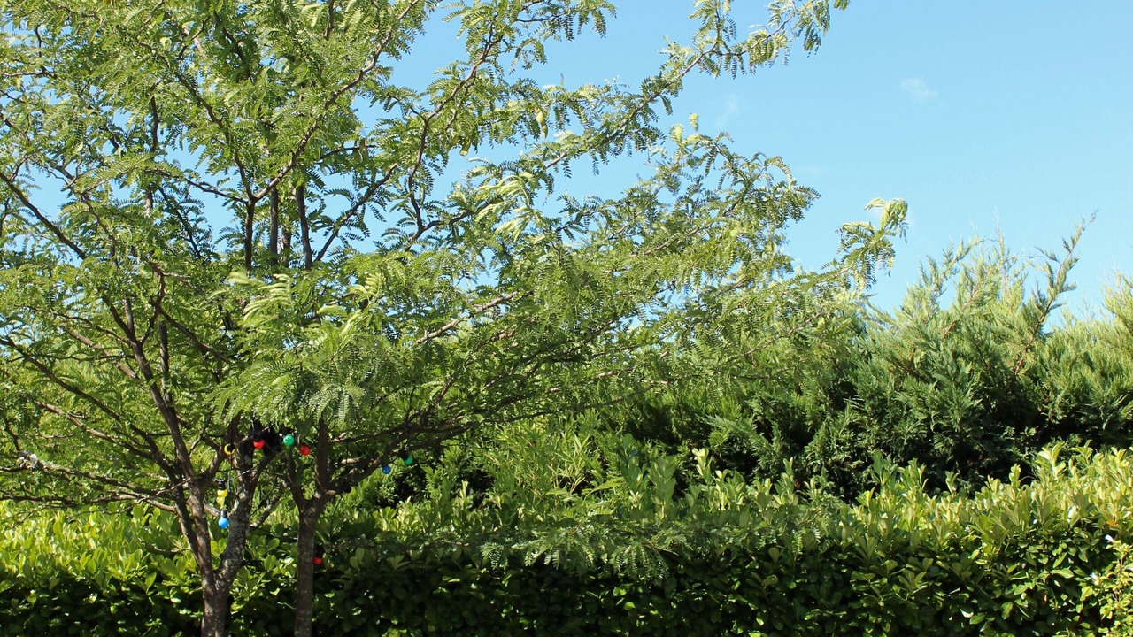 Photo of Outdoor in Goudargues