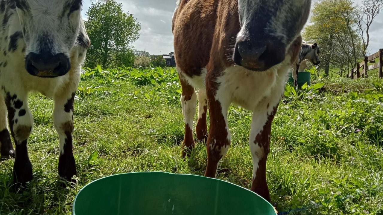 Photo of Outdoor in Karamu