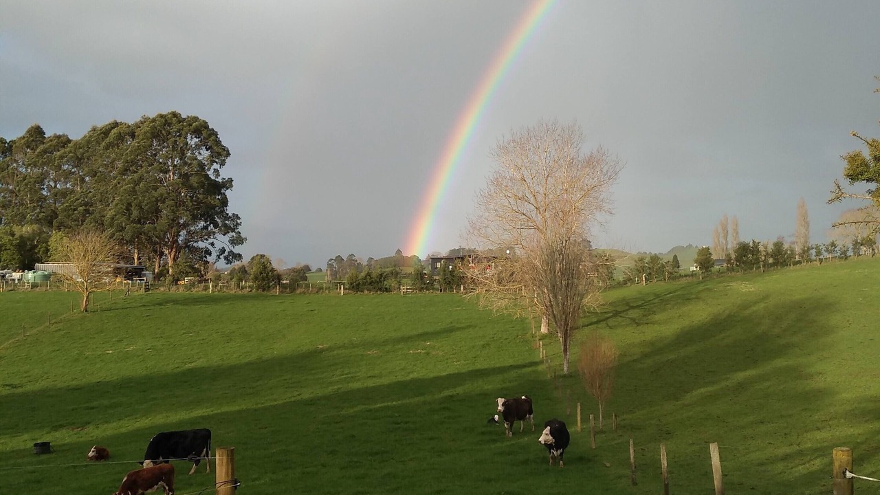 Photo of Others in Karamu