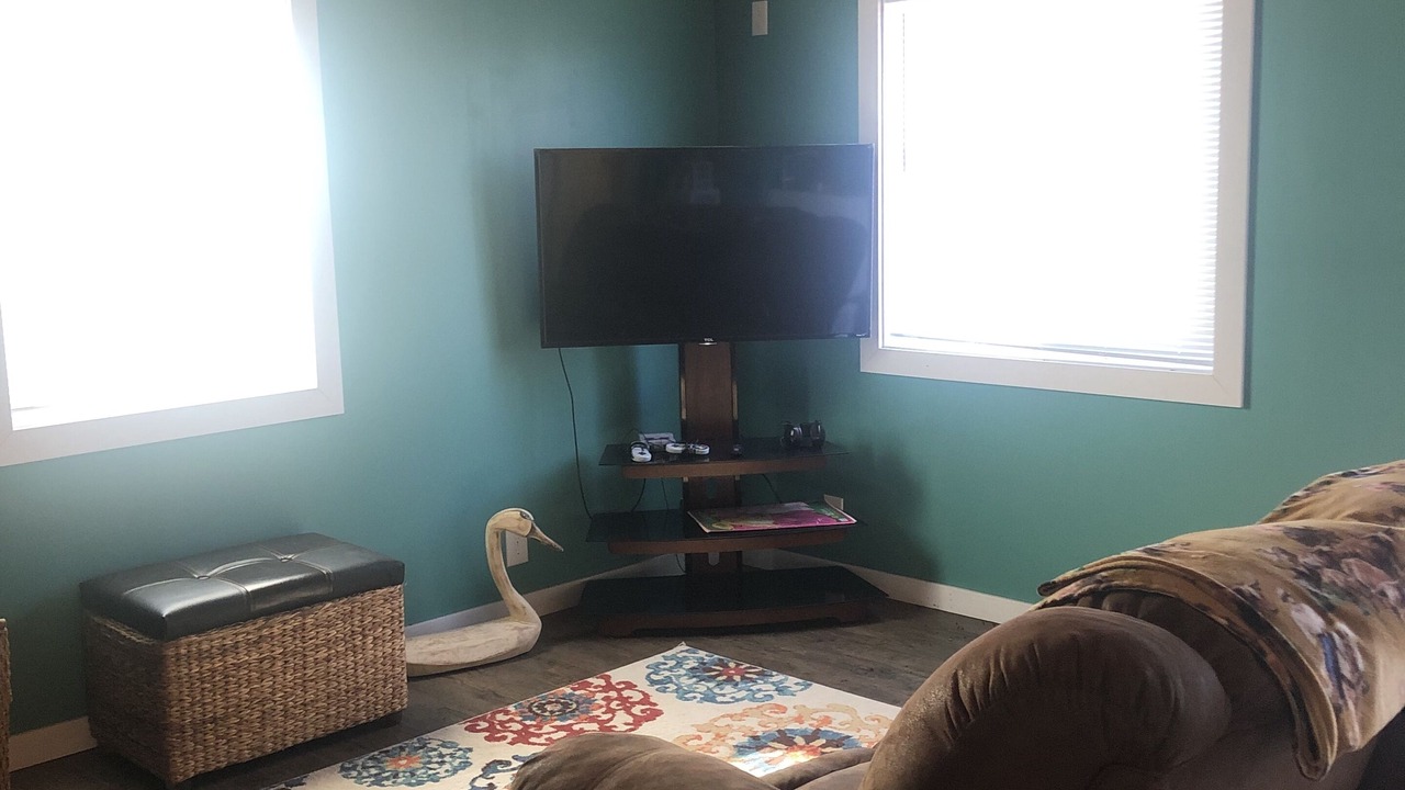 Photo of Livingroom in Doniphan