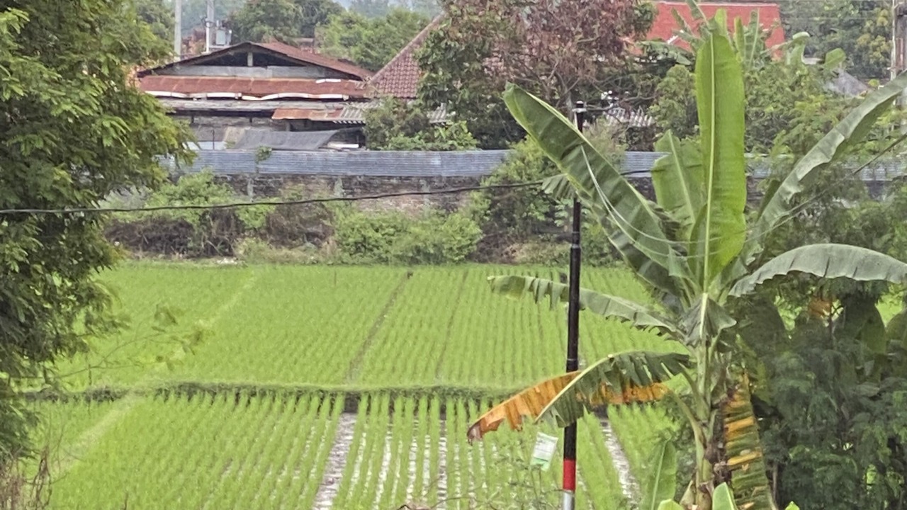 Photo of Outdoor in Sewon