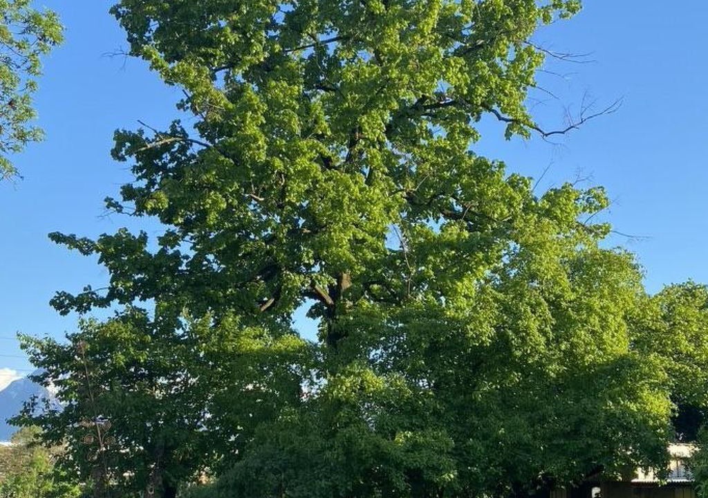 Photo of Outdoor in Steffisburg
