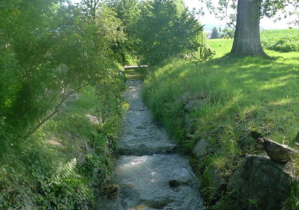 Photo of Outdoor in Steffisburg