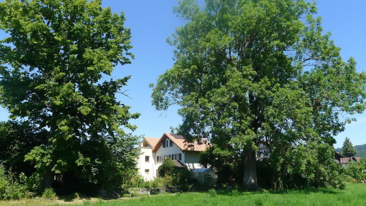 Photo of Outdoor in Steffisburg