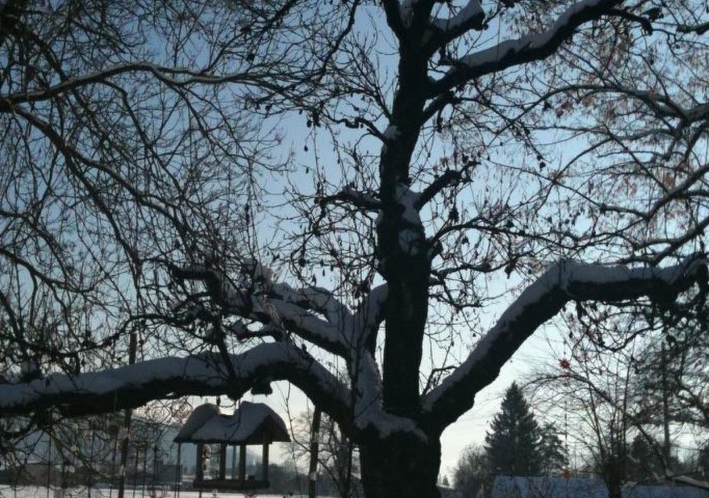 Photo of Outdoor in Steffisburg