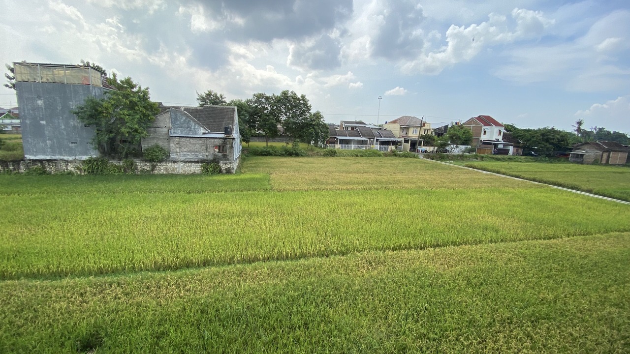 Photo of Outdoor in Sewon