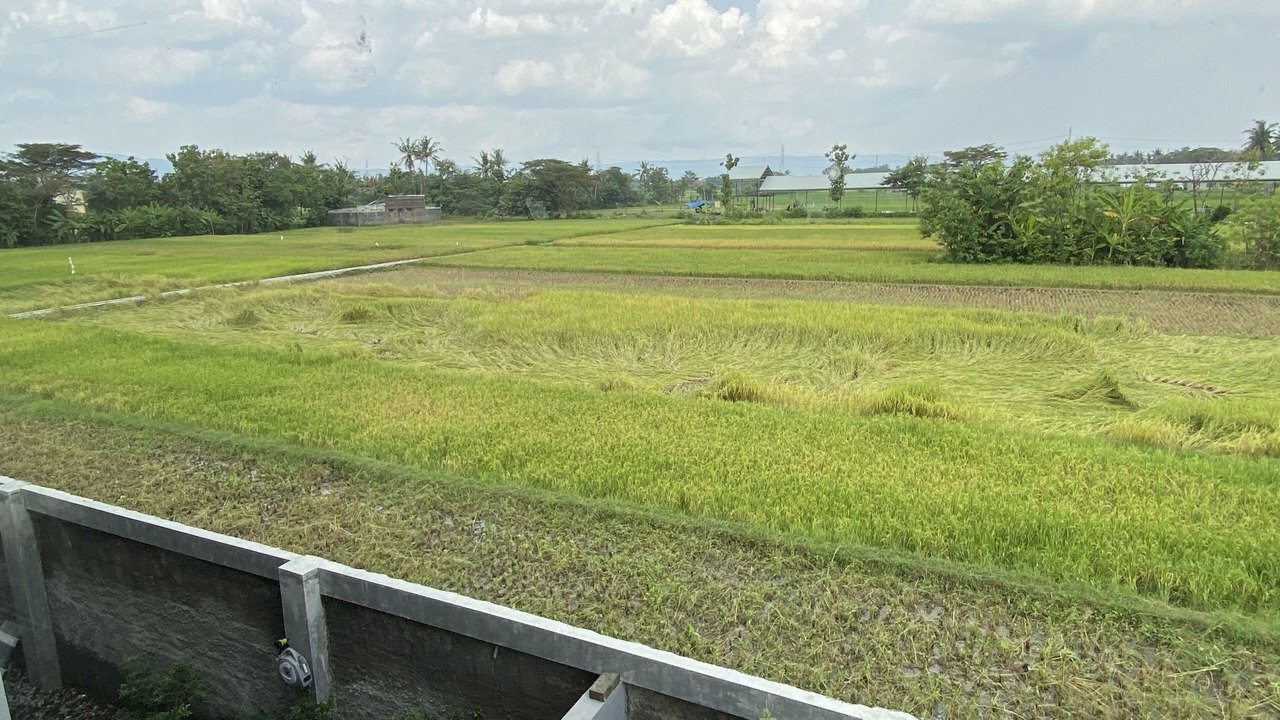 Photo of Others in Sewon