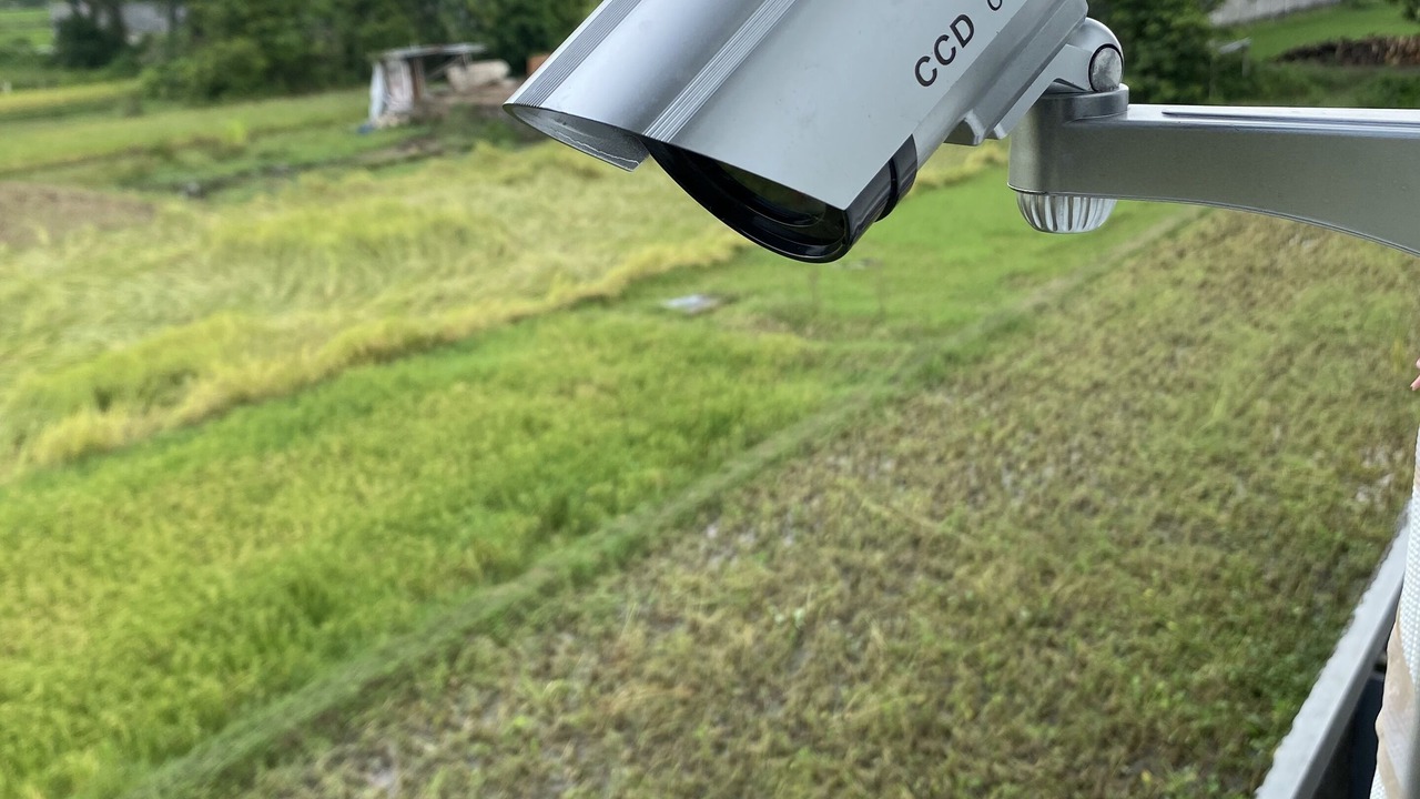 Photo of Others in Sewon