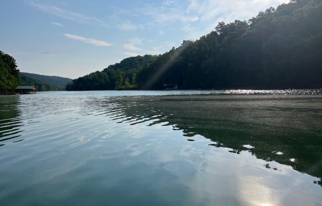 Photo of Outdoor in Flat Hollow Marina