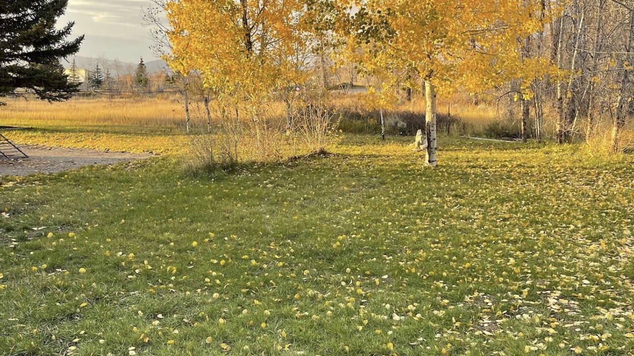 Photo of Others in Star Valley Ranch