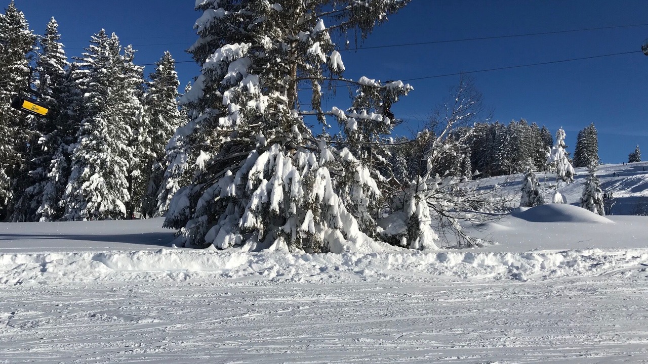 Photo of Outdoor in Gams