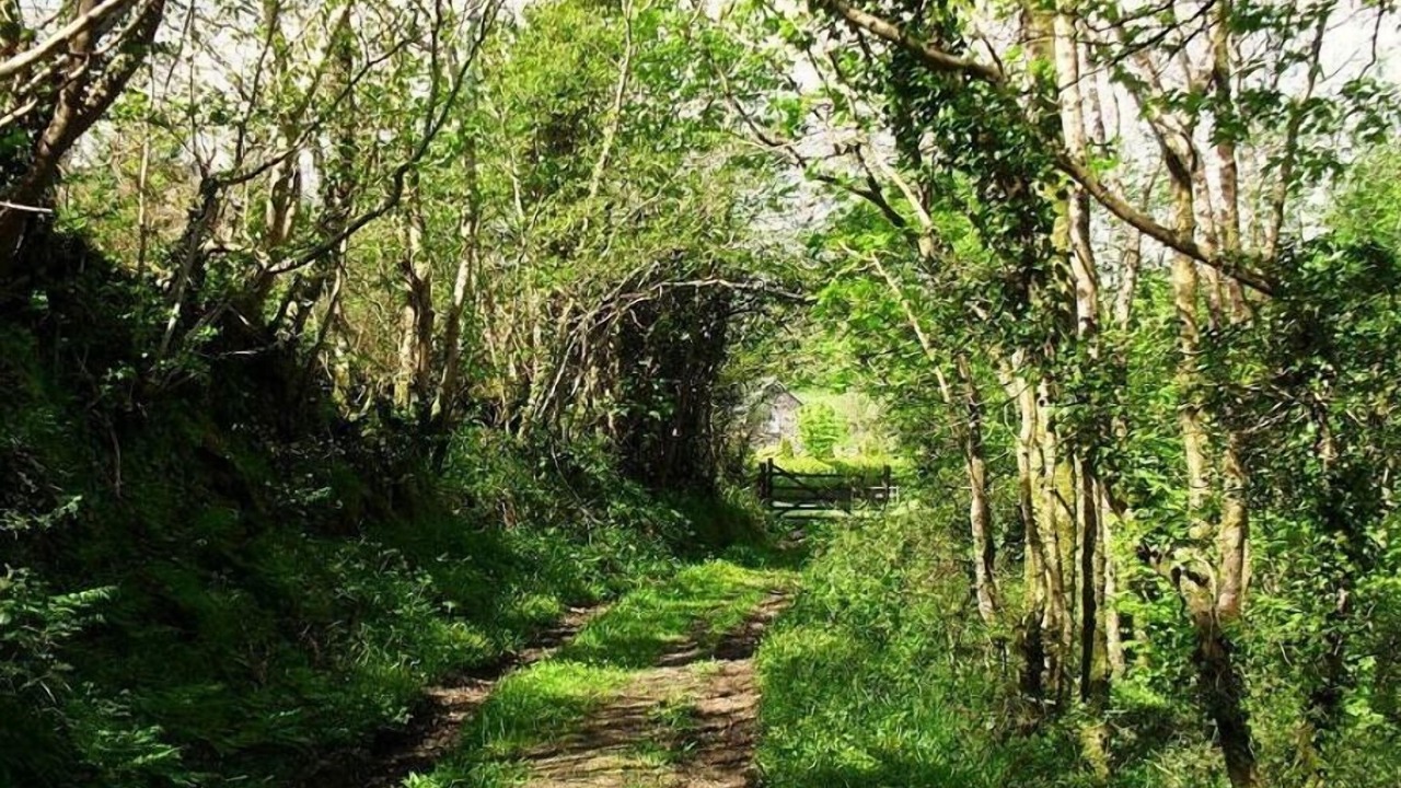 Photo of Others in Mary Tavy