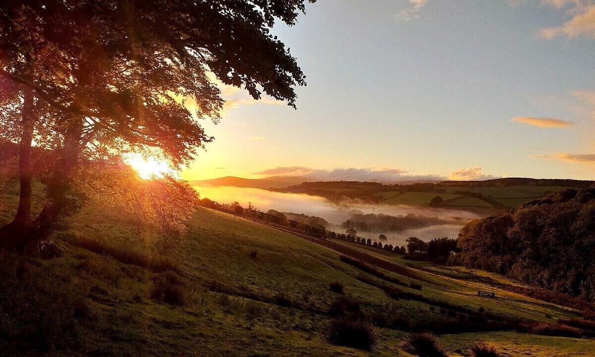 Photo of Others in Mary Tavy