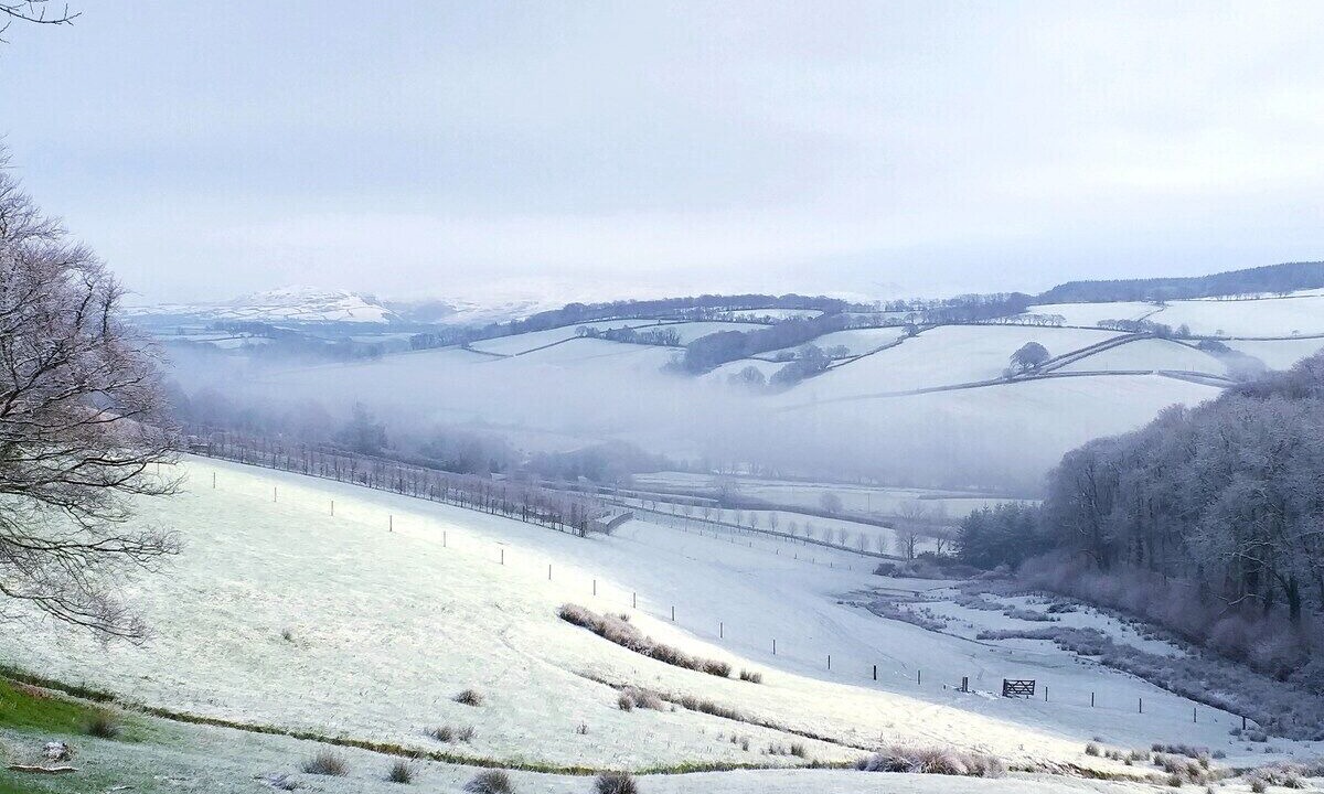 Photo of Others in Mary Tavy