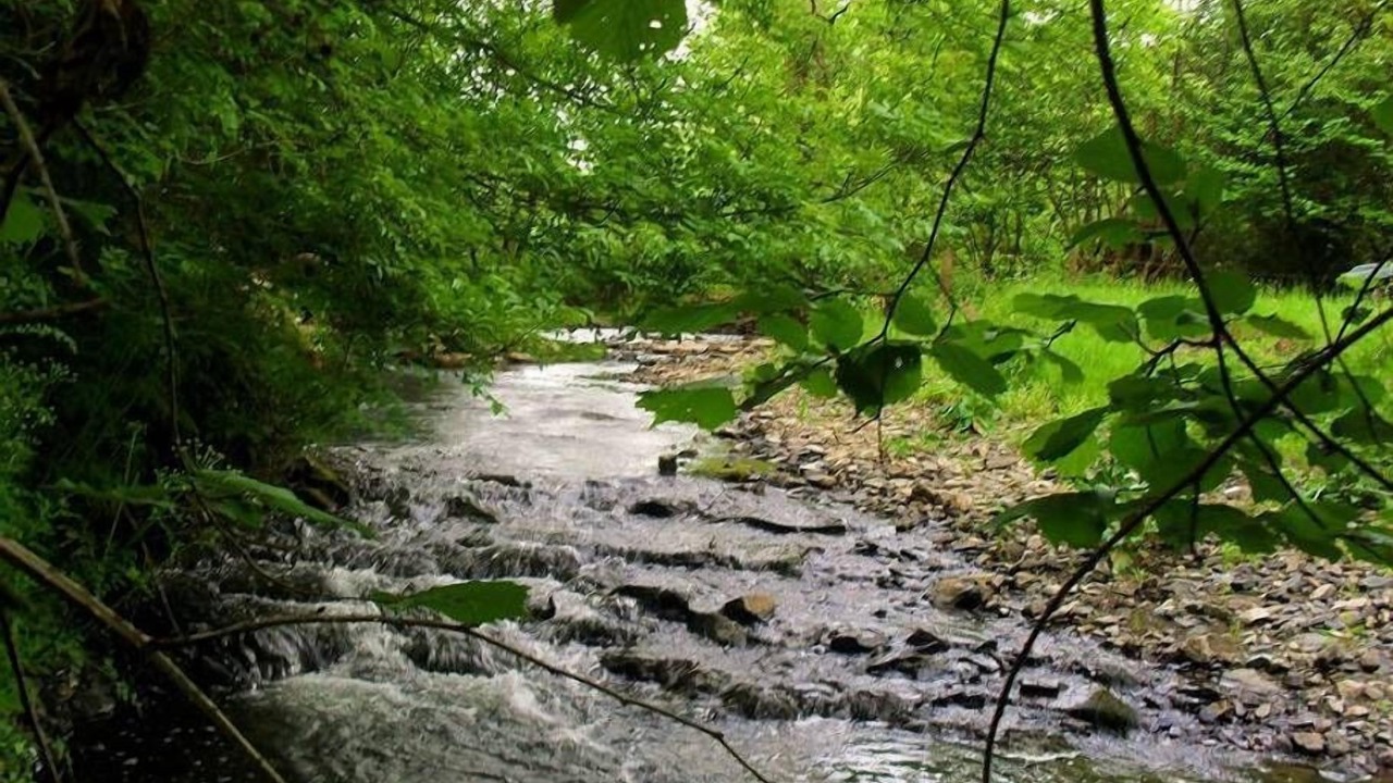 Photo of Others in Mary Tavy