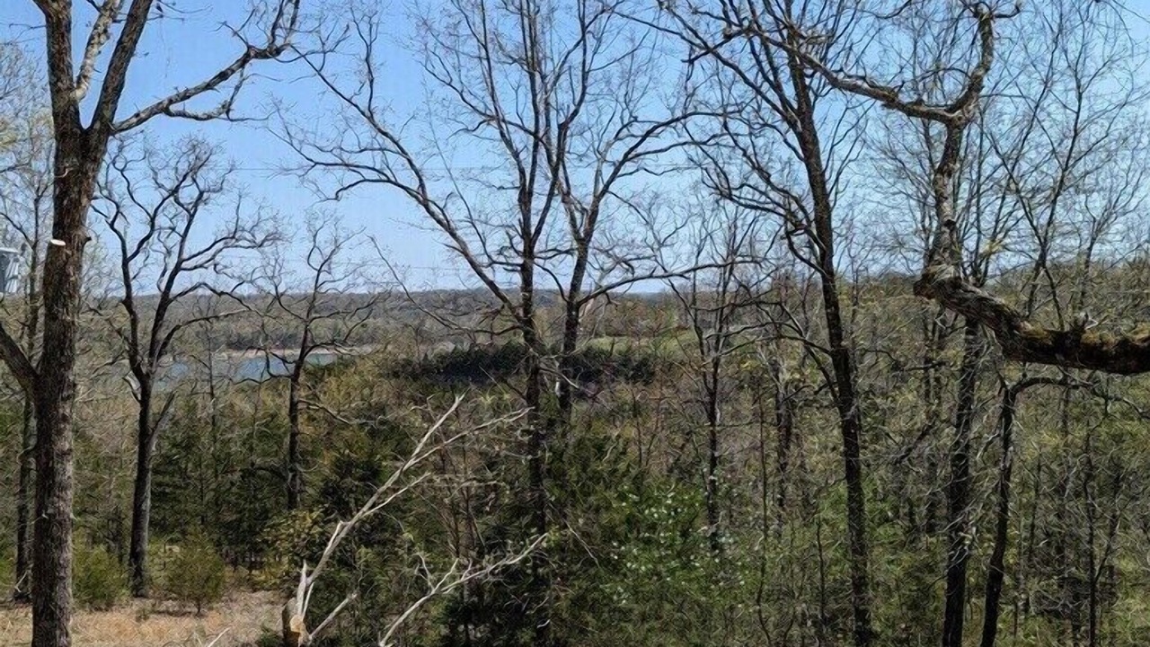 Photo of Outdoor in Theodosia