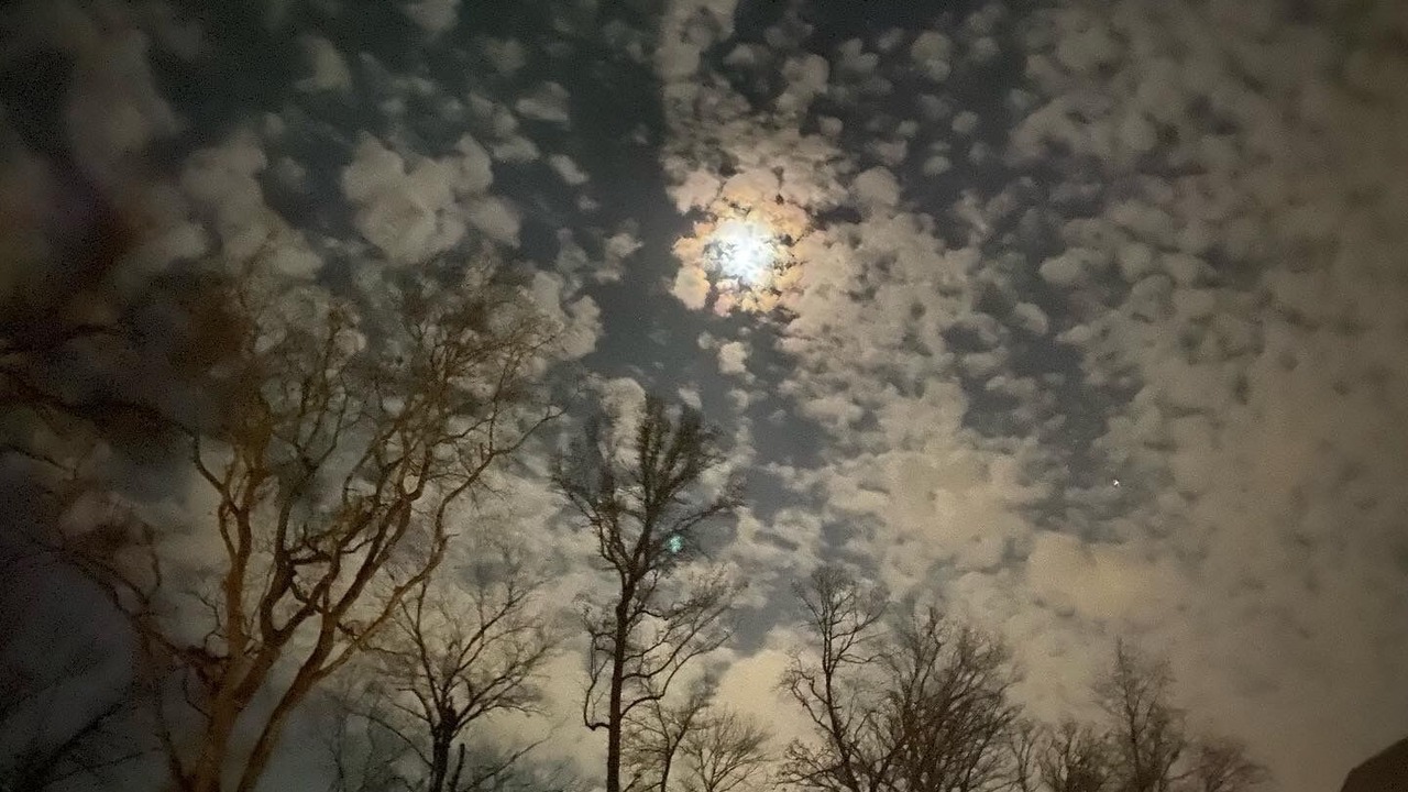 Photo of Others in Tyler