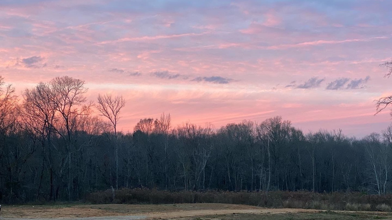 Photo of Outdoor in Tyler