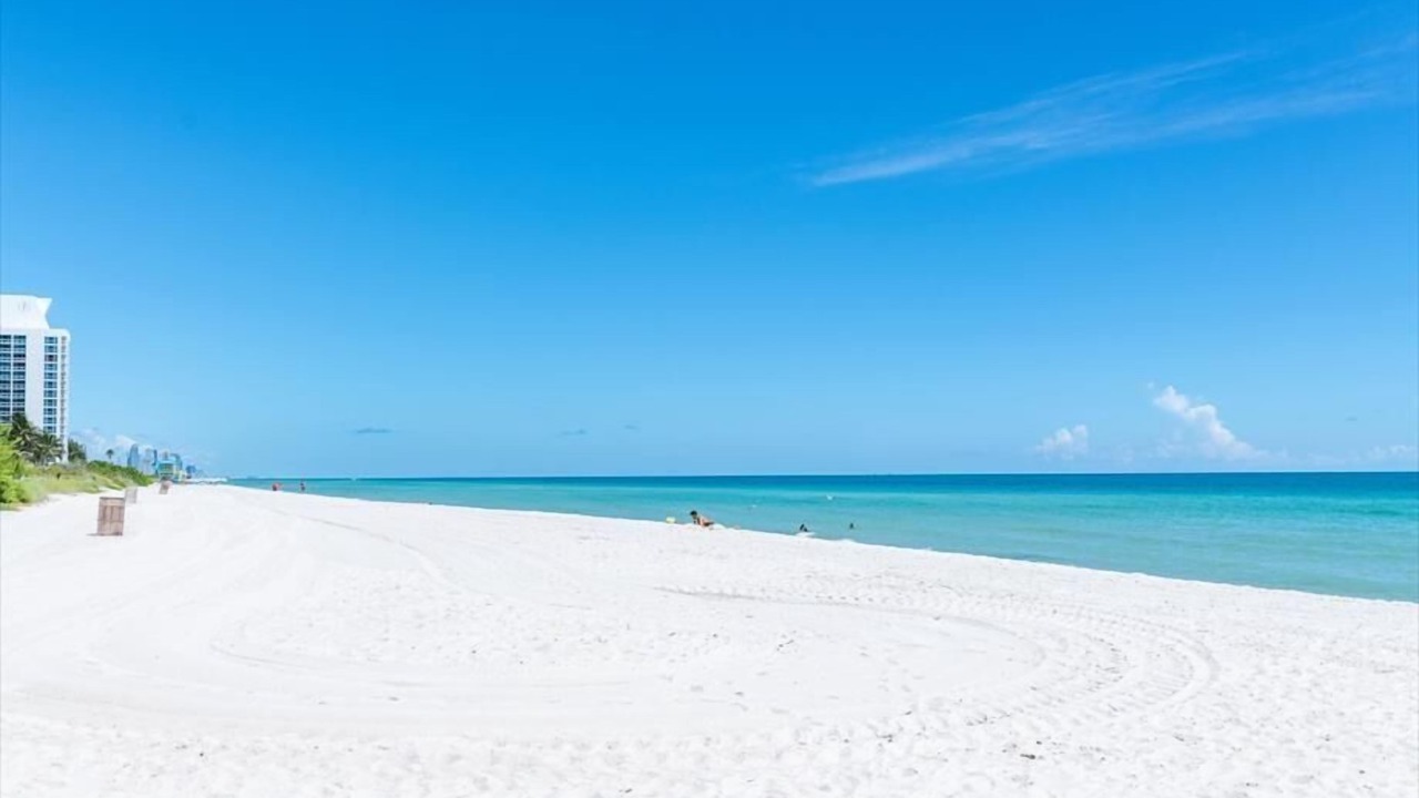 Photo of Others in North Beach