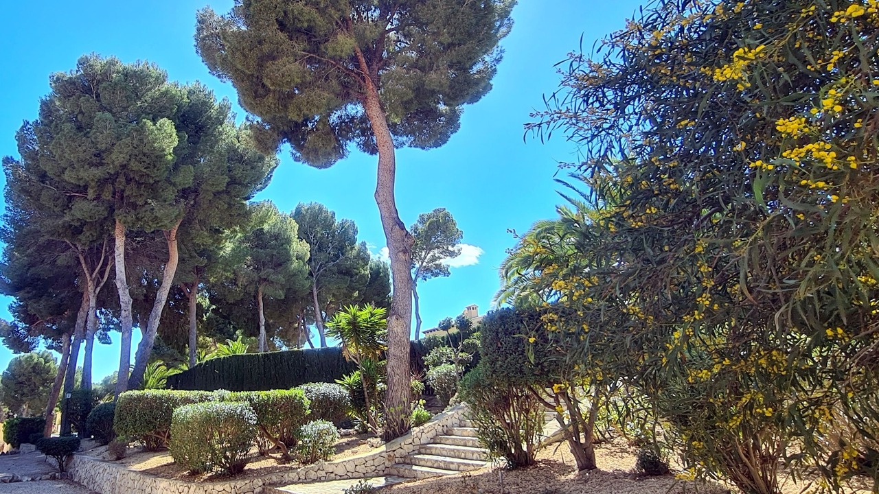 Photo of Outdoor in El Tesoro