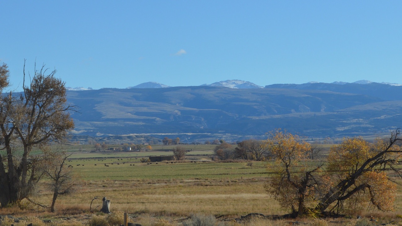 Photo of Others in Hyattville