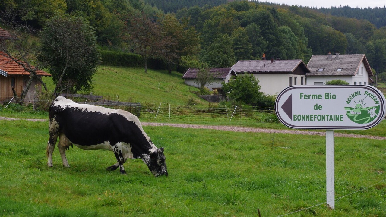 Photo of Outdoor in Le Tholy