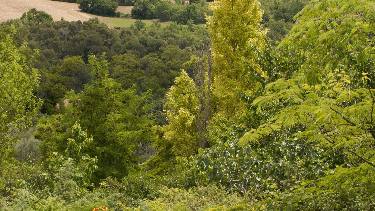 Photo of Outdoor in Valensole