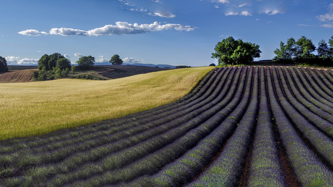 Photo of Others in Valensole