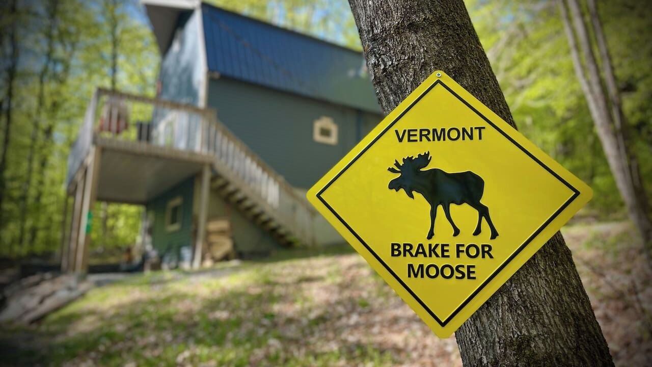 Photo of Others in East Dover