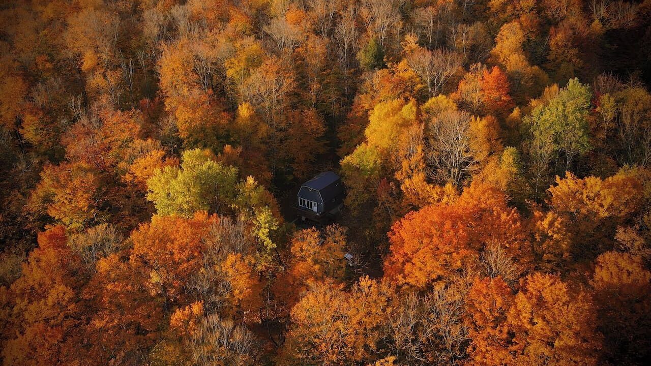 Photo of Others in East Dover