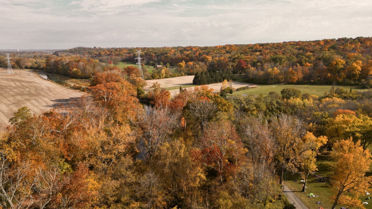 Photo of Outdoor in Hamilton