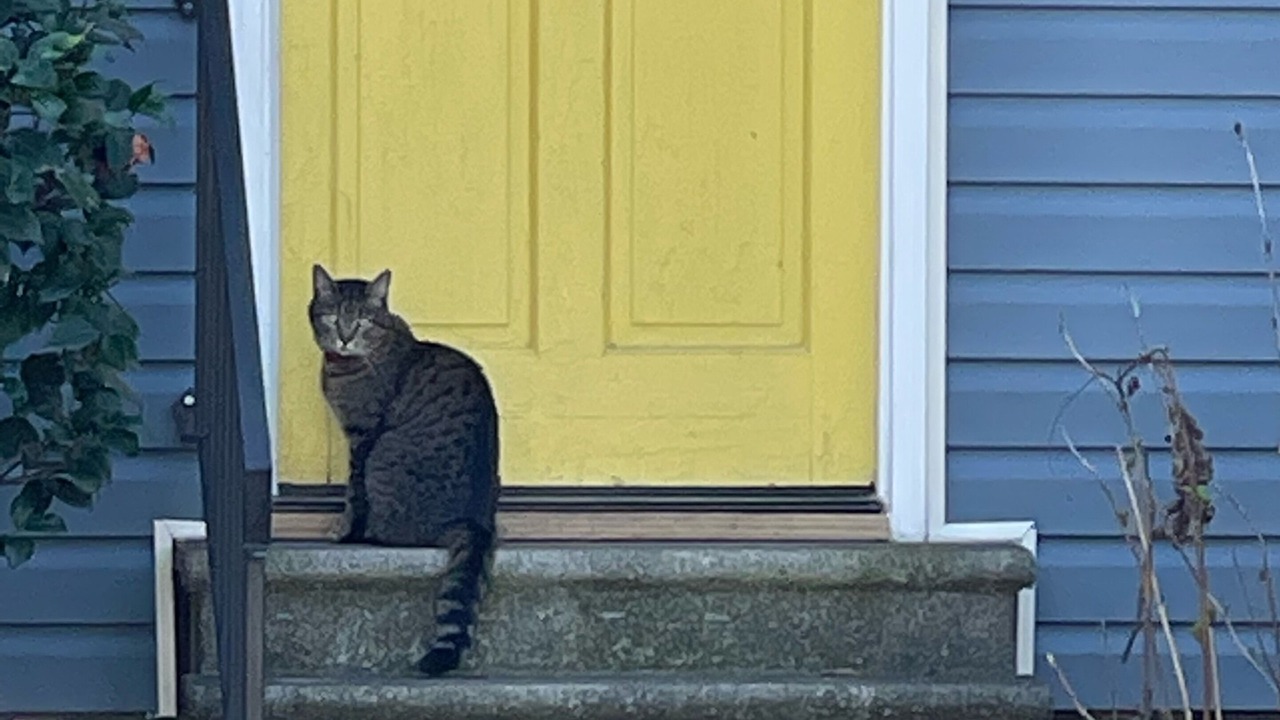 Photo of Outdoor in Midtown
