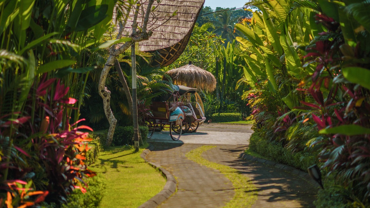 Photo of Outdoor in Tegallalang