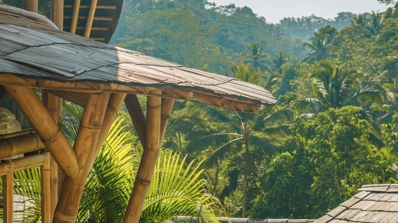 Photo of Outdoor in Tegallalang