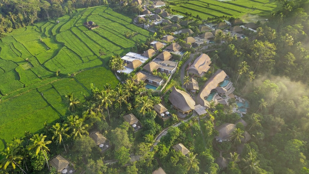 Photo of Outdoor in Tegallalang