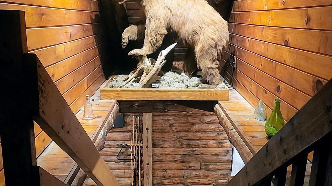 Photo of Others in Hickory Hills
