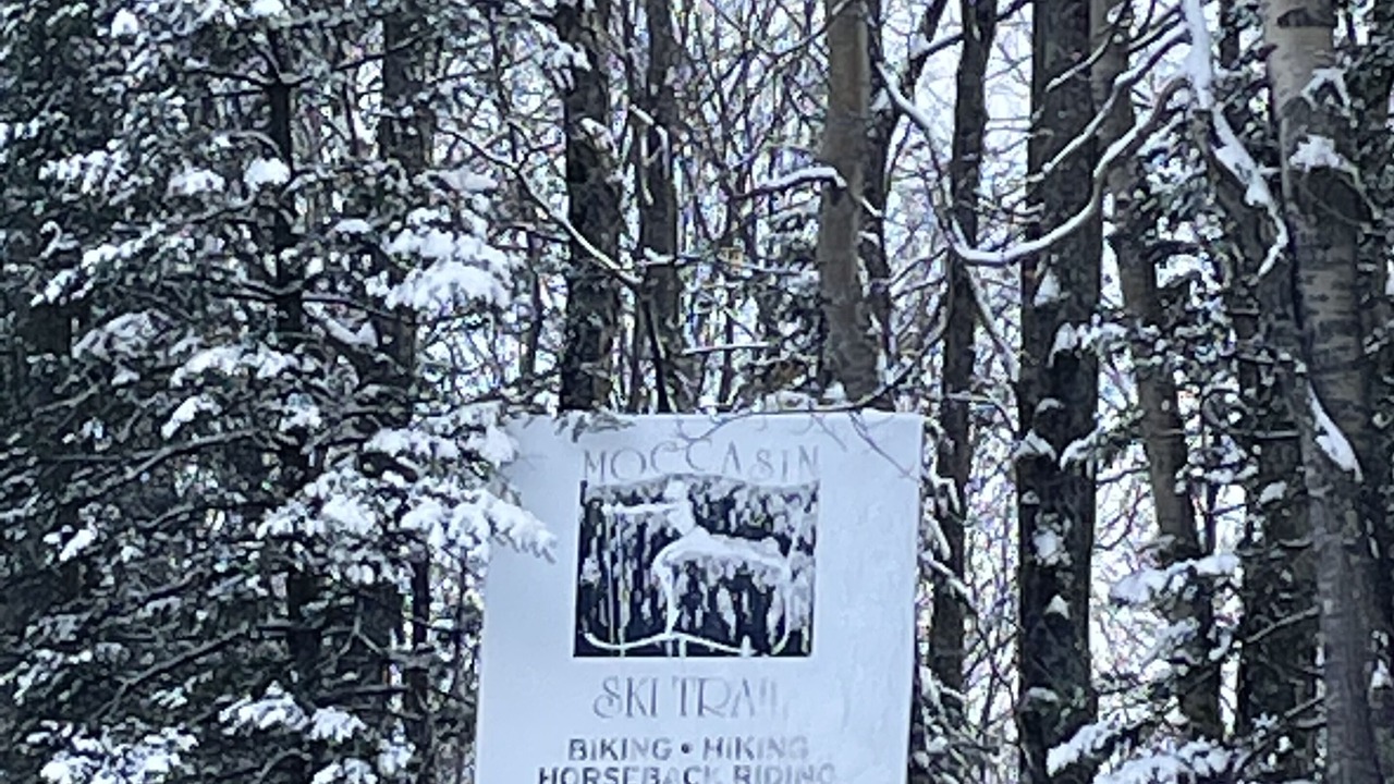 Photo of Outdoor in Pelican Lake