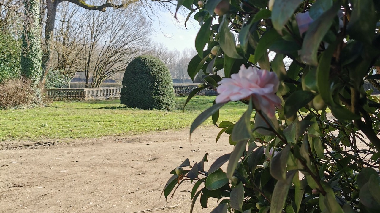 Photo of Outdoor in Bouchemaine