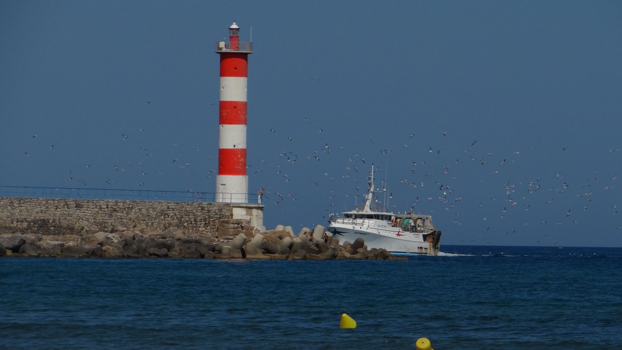 Photo of Others in Port-la-Nouvelle
