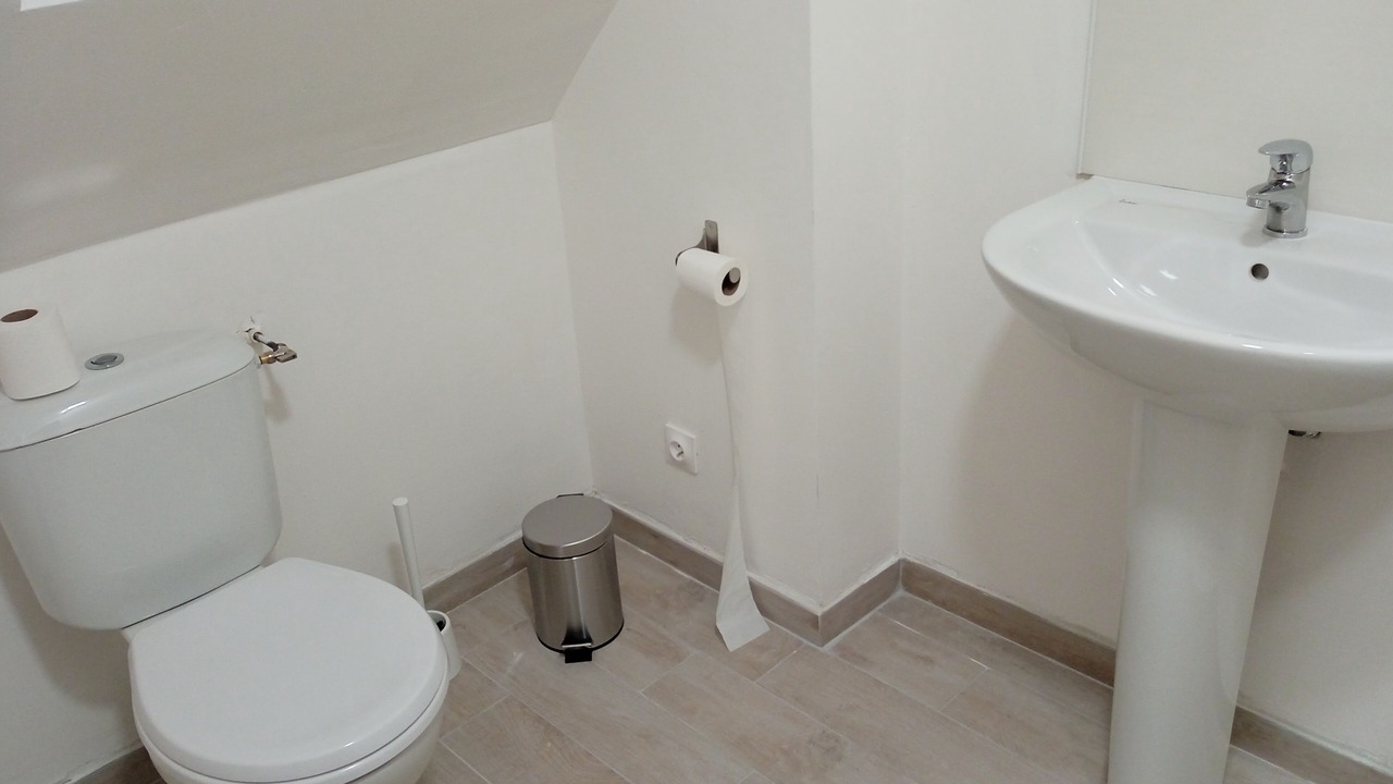 Photo of Bathroom in Plelauff